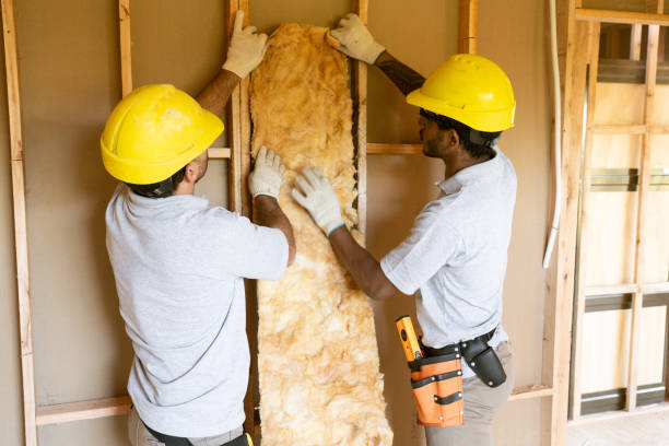 Best Professional Insulation Contractor  in Salmon Creek, WA